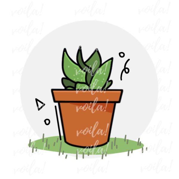 PotPlant Icon © Voila Graphic Design